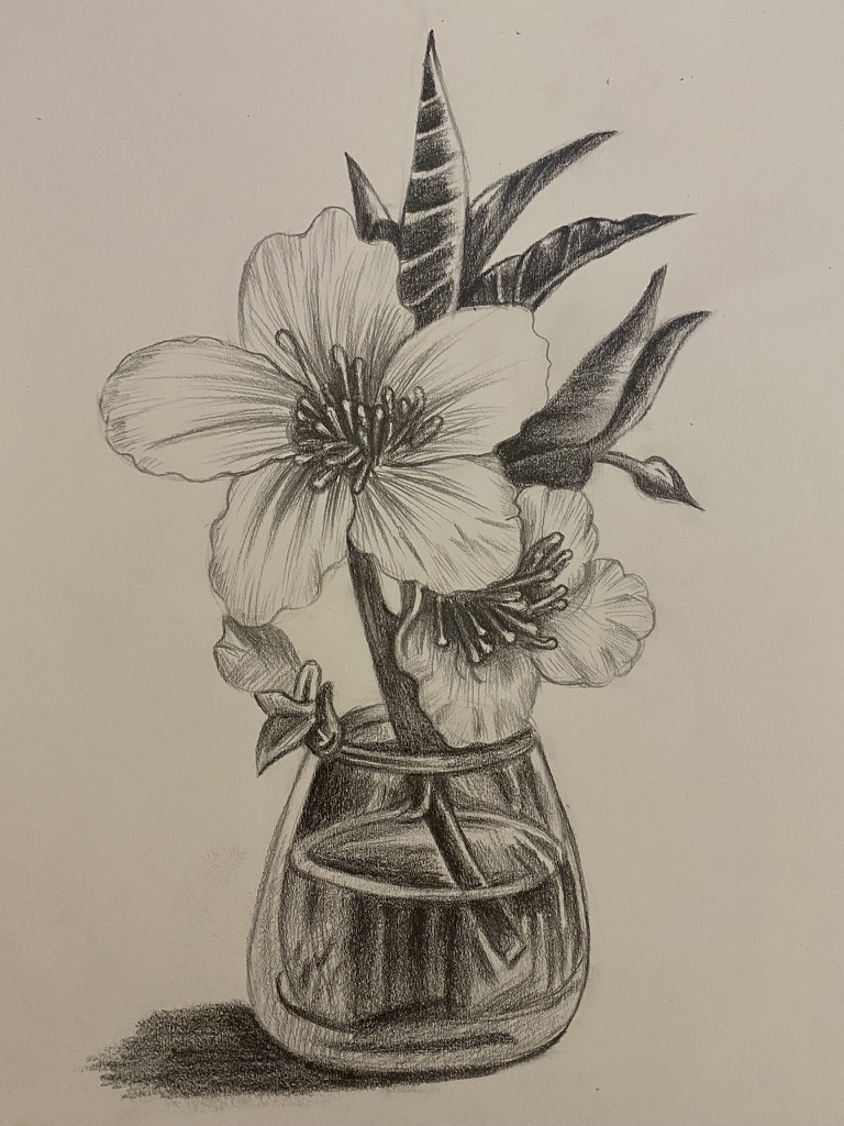Pencil sketch of a flower in a glass jar
